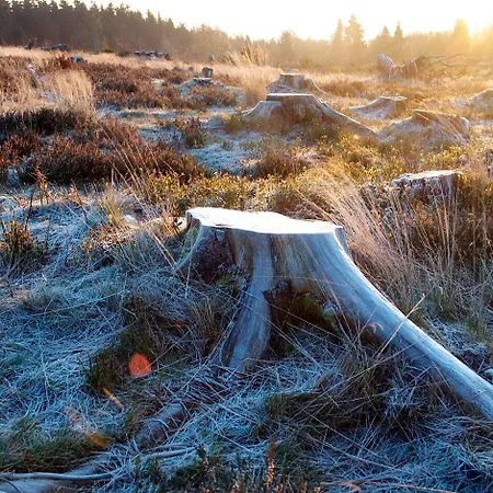 Avital度假酒店 4*